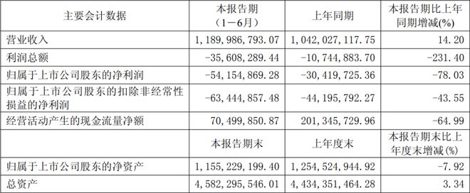 利亚德三安木林森等17家LED企业公布上半年业绩(图7) 利亚德三安木林森等17家LED企业公布上半年业绩(图7)